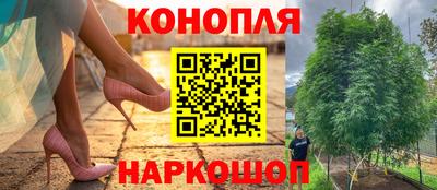 метадон Лесосибирск