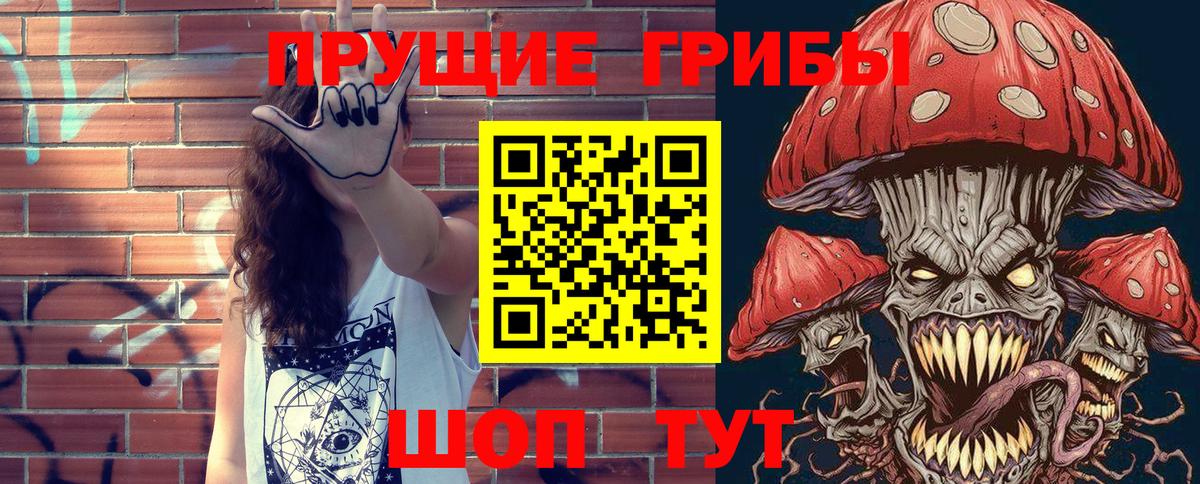 Зеленогорск  Псилоцибиновые грибы Magic Shrooms  Вход с VPN  Псилоцибиновые грибы прущие грибы 